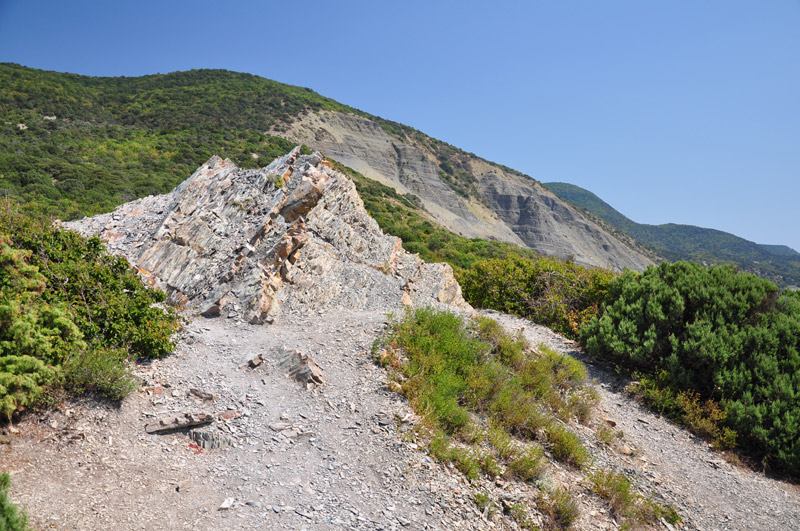 Вид с горы, на которой находится Утришский заповедник