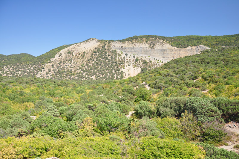 Вид с горы, на которой находится Утришский заповедник