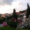 Хорватия, Сребрено, сад вокруг дома