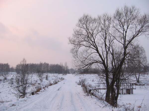 Зимние прогулки