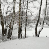 Калуга, Бушмановский пруд зимой
