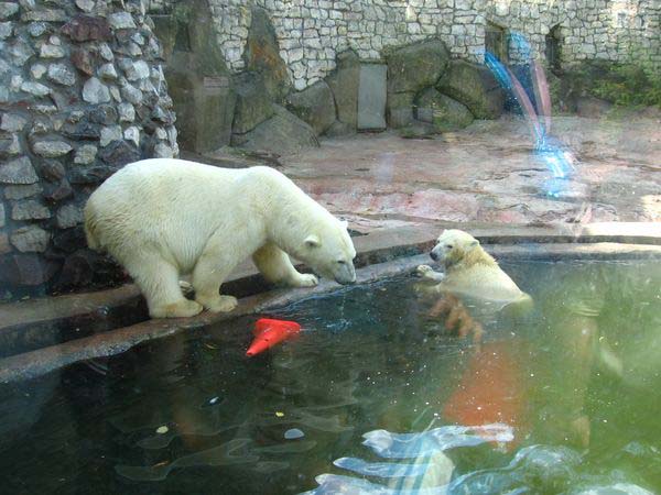В Московском зоопарке