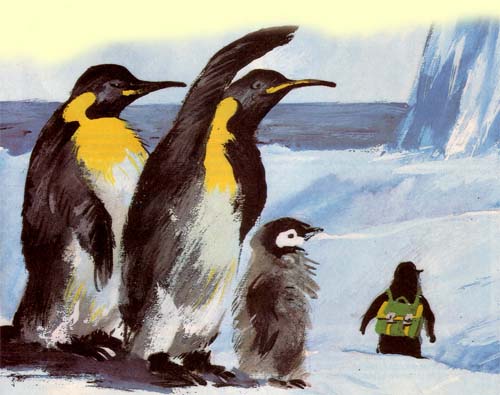 Антарктическая народная сказка