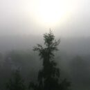 Туманным утром