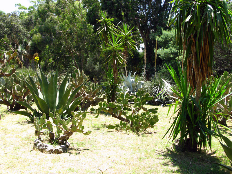 Ботанический сад острова Локрум
