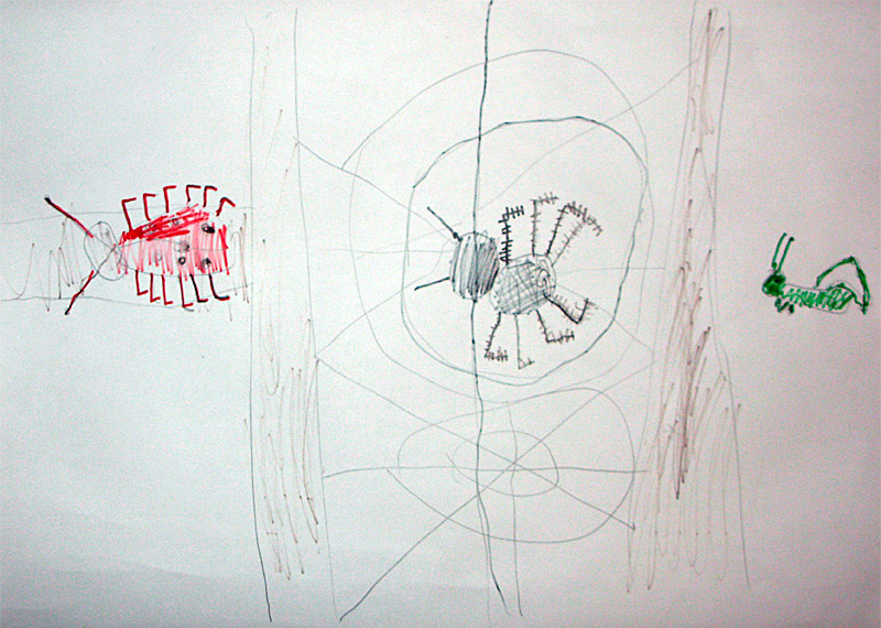 Паук сплел паутину как показано на рисунке. Паук плетет паутину рисунок. Как паук плетет паутину между деревьями. Как паук плетёт свою паутину схема. Как пауки плетут паутину между деревьями первую.