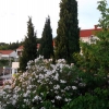 Хорватия, Сребрено, сад вокруг дома