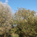 На прогулке