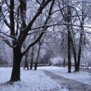 Зимние прогулки