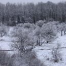 Зимние прогулки