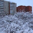 Зимние прогулки