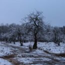 Зимние прогулки