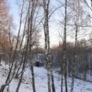 Зимние прогулки