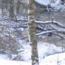 Зимние прогулки