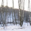 Зимние прогулки