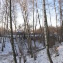 Зимние прогулки