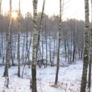 Зимние прогулки