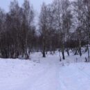 Зимние прогулки