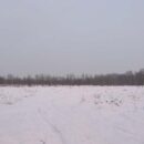 Зимние прогулки