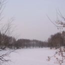 Зимние прогулки