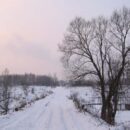 Зимние прогулки