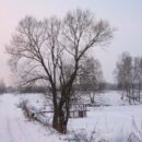 Зимние прогулки