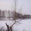 Зимние прогулки